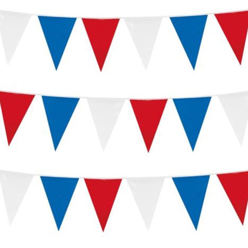 Bunting Flag