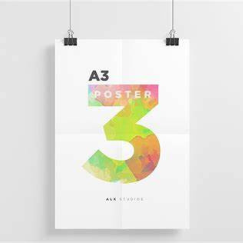 a3 poster